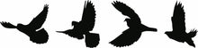 Flying Birds MDF Wall Art, set of 4 flying birds