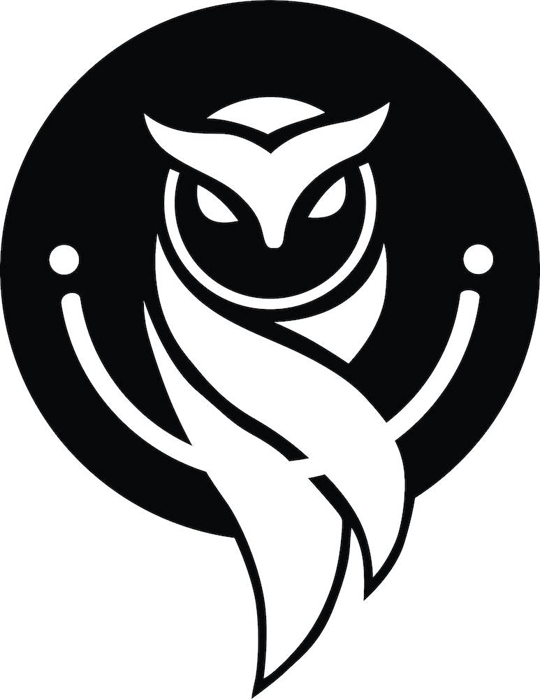 Majestic Owl MDF Wall Art for Wall Decor